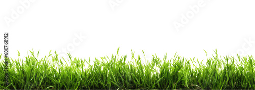 Green grass border, on a transparent background. The horizon of the green lawn. Greenfield frame, background, PNG file