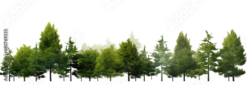 Green Trees on a transparent background. are Forest and foliage, PNG file