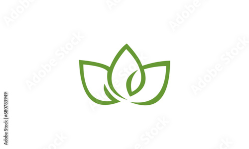 green leaf icon