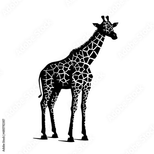 Giraffe Vector