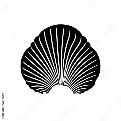 Shell Vector photo