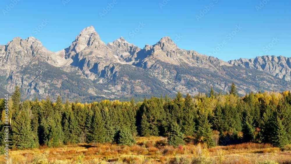 Grand Teton National Park entrance Blacktail Ponds Overlook wind in tall grass fall Aspen golden yellow trees Jackson Hole Wyoming mid day beautiful blue sky no snow on peak cinematic pan left motion