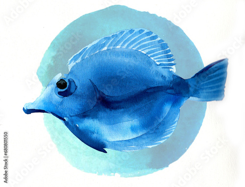 Blue coral fish in water. Hand-drawn ink and watercolor sketch