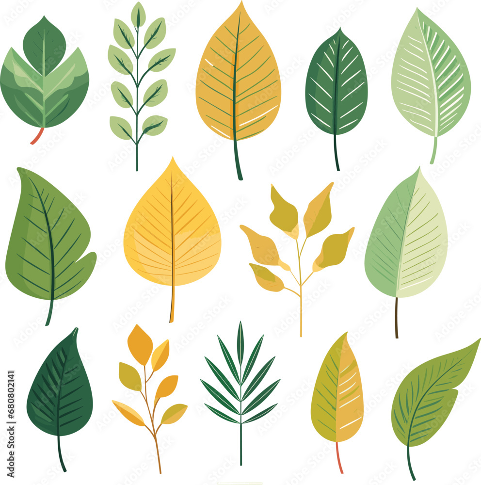 Fototapeta premium Leaf design elements on white background