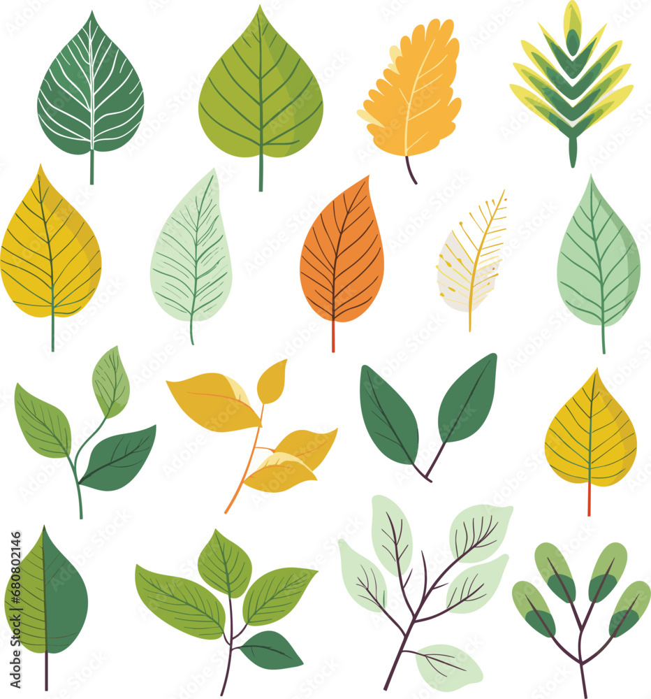 Obraz premium Leaf design elements on white background