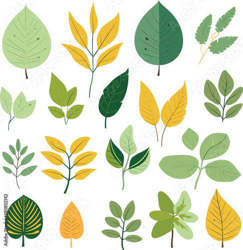 Leaf design elements on white background