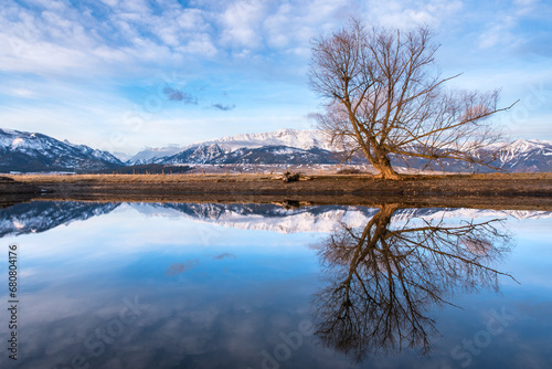 Perfect Reflection With Tree and Mountains