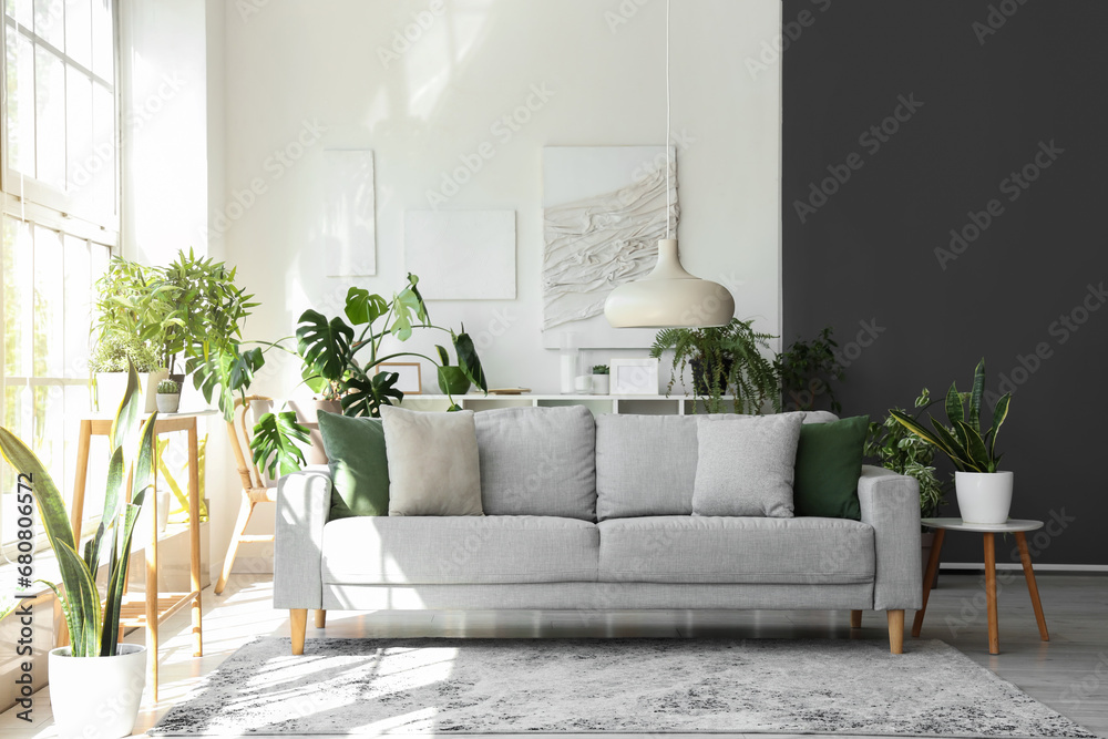 Interior of light living room with comfortable grey sofa and houseplants - obrazy, fototapety, plakaty 