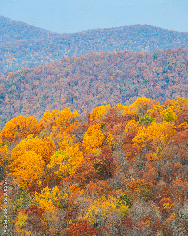 Fall colors in display at Shenandoah National Park, Virginia