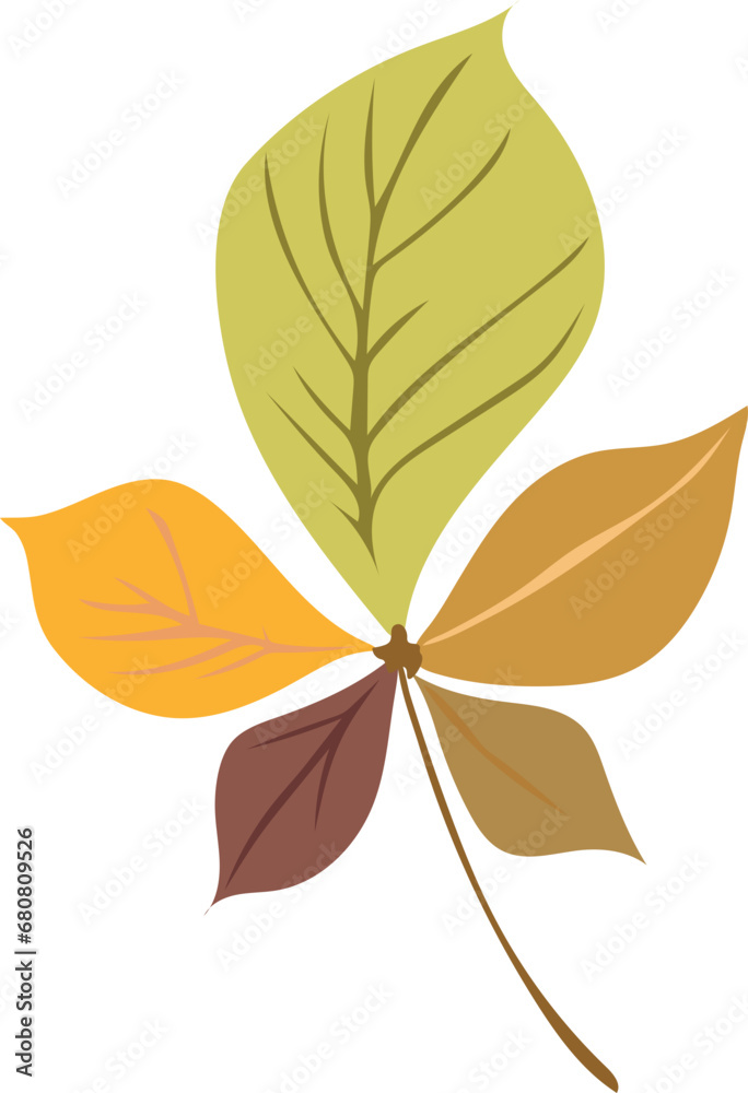 Buckeye leaf illustration