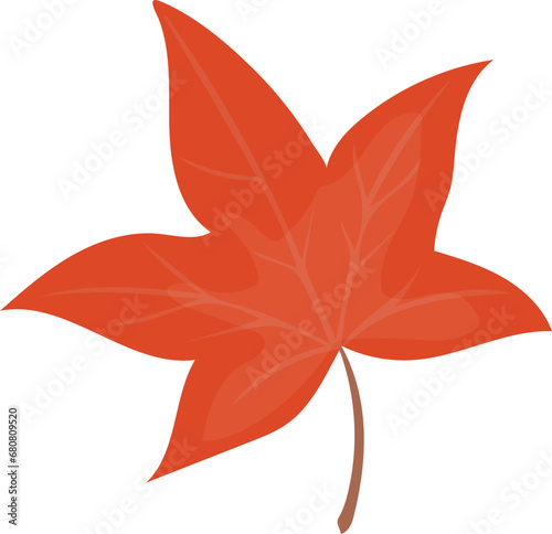 Canadian maple leaf illustration photo