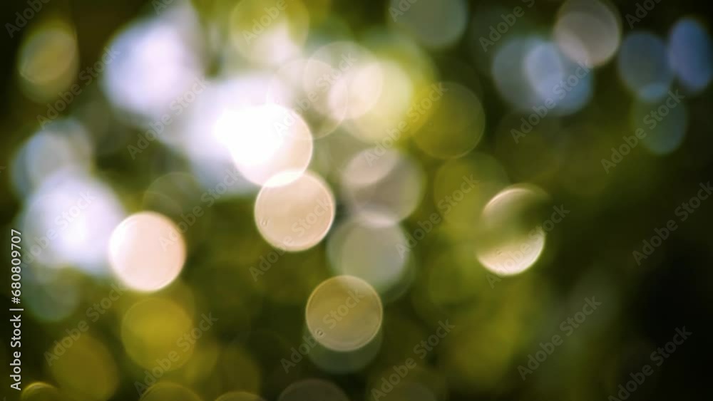 Natual bokeh of light between tree leaves. Natual bokeh of light between tree leaves.