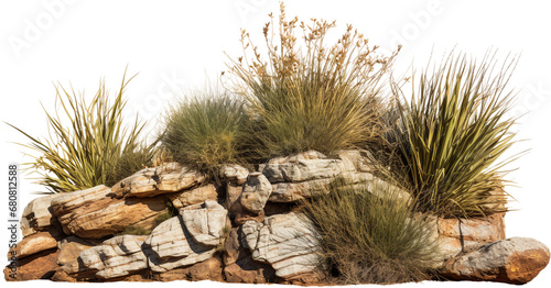 Isolated Savanna Landscape with Dry Grass and Rocks, Transparent Background