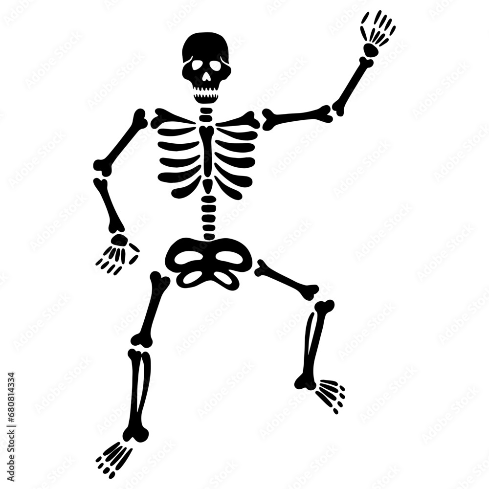 skeleton with a skull and bones skeleton with a skull and bones
