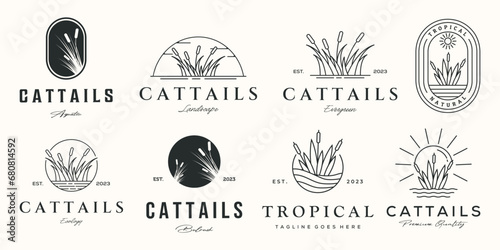 set of cattail logo line art vector illustration concept template icon design, collection of nature cattail plant with badge and symbol concept vector illustration logo design