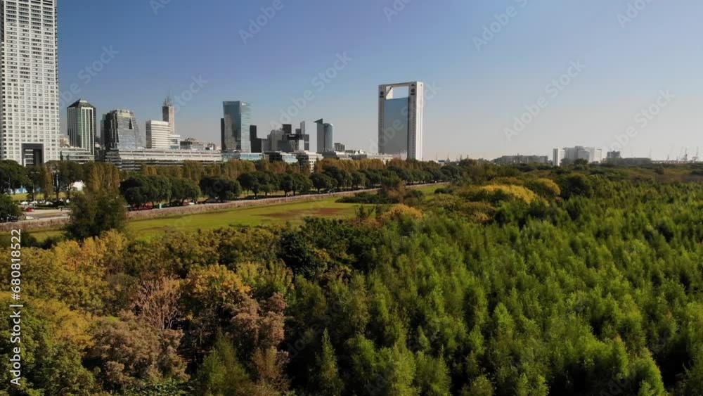 aerial shot during the day in the ecological reserve: aerial view of the large wetland surrounded by leafy trees and the city aerial shot during the day in the ecological reserve: aerial view of the large wetland surrounded by leafy trees and the city