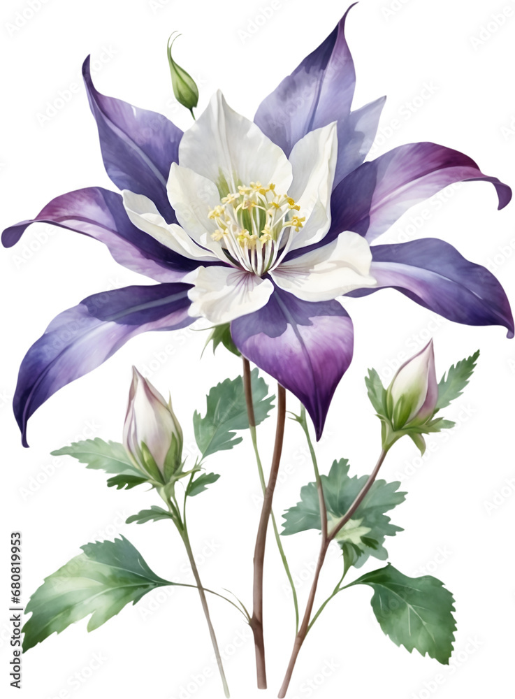 Watercolor wildflower clipart Watercolor wildflower clipart