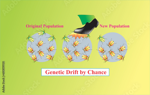 Genetic Drift by Chance