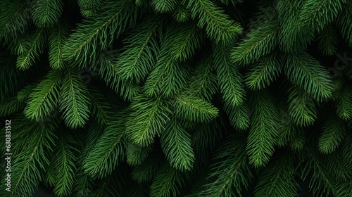 Beautiful Christmas Background with green pine tree brunch close up, trendy moody dark toned design for seasonal quotes photo