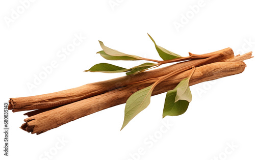 Strong Attractive Palosanto Isolated On Transparent Background PNG. photo