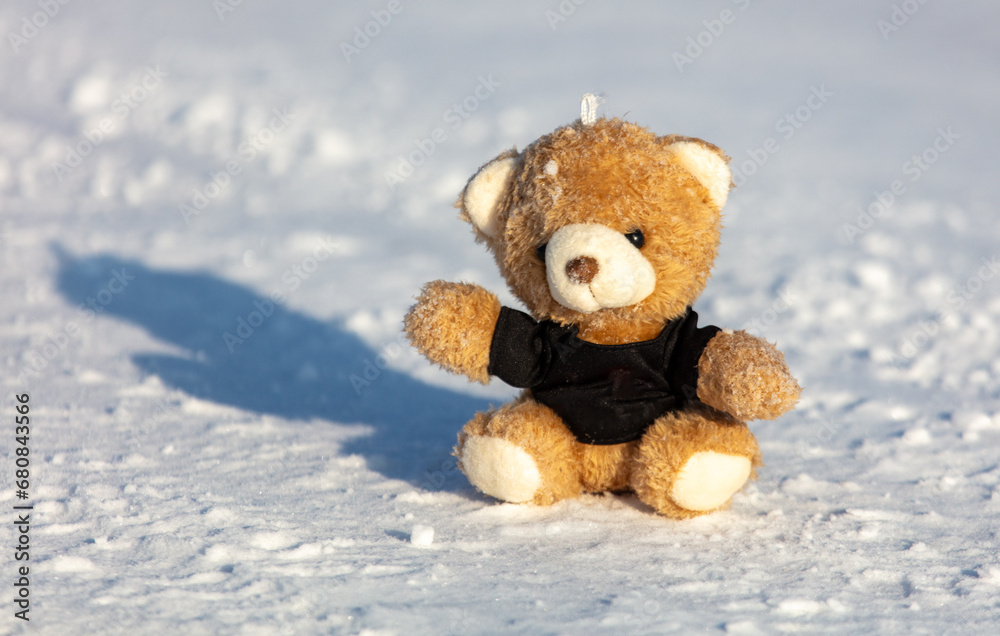 Teddy bear on white snow in winter Teddy bear on white snow in winter