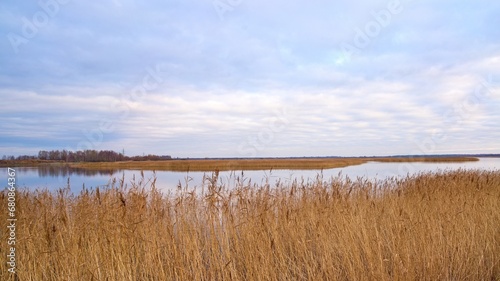 Panoramic view of dry reeds. Beautiful view of the lake or river with reed grass. Panoramic photo of nature. Selective focus.