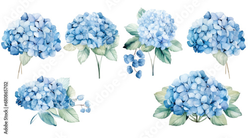 Beautiful watercolor floral bouquets with hydrangea flowers on white or transparent background, png photo