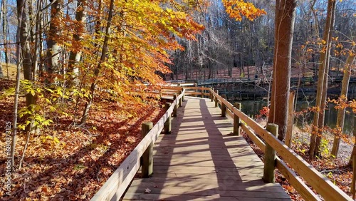 Scenic board walk trail in Maybery state park in Novi, Michigan during late autumn time. photo