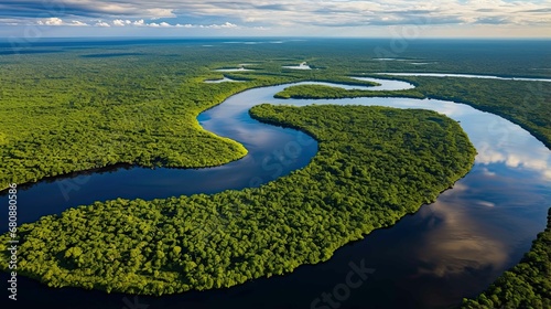 Aerial View Of The Rainforest Jungle With River photo