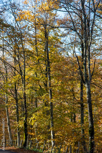 casentino national park autumn colors arezzo tuscany