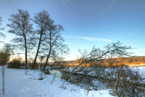 landscape winter trees and fields covered by snow in Poland, Europe on sunny day in winter, amazing clouds in blue sky © Marcin Perkowski