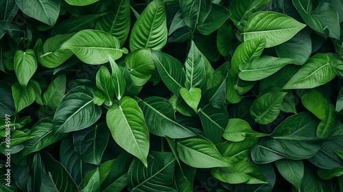 Green leaves texture. Tropical leaf background. Banner. Top view. Made with generative ai © ferid
