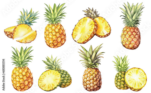 Collection of Pineapple Watercolor Vector Illustration
