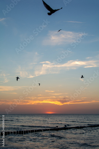 Sunset over the sea with breakwater, beach and birds