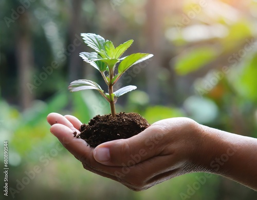 Image of a hand holding a clump of soil with a sprouting green plant.
