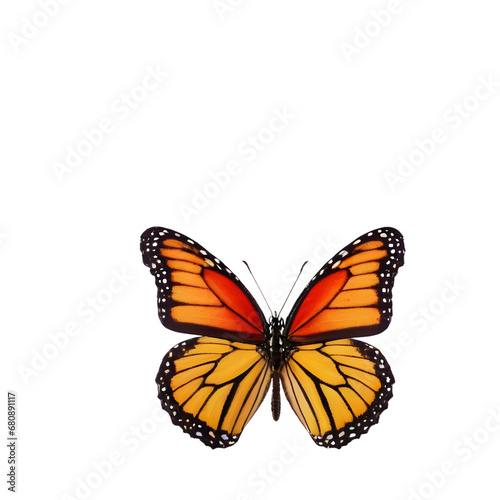 Exquisite  butterfly captured in high detail, perfect for educational use, nature-inspired graphic designs, and digital overlays with its transparent background © Damian