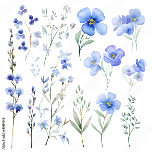 Fototapeta Naklejka Na Ścianę i Meble -  The set of watercolor blue flowers and leaves elements, illustrations, ai generatives