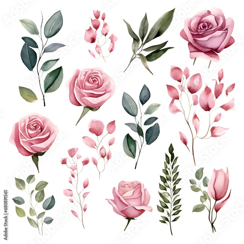The set of watercolor roses and leaves elements  illustrations  ai generatives