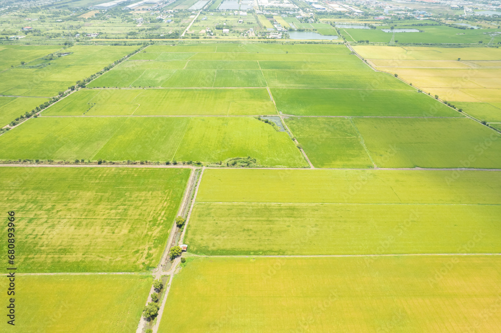 Fototapeta premium aerial view from flying drone of Field rice with landscape green pattern nature background, top view field rice