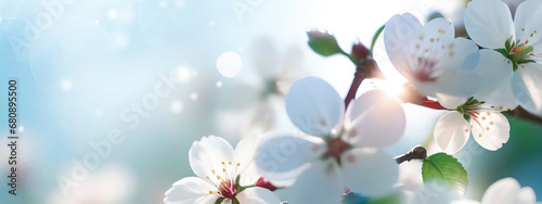 Beautiful spring natural background with apple tree flowers close-up.