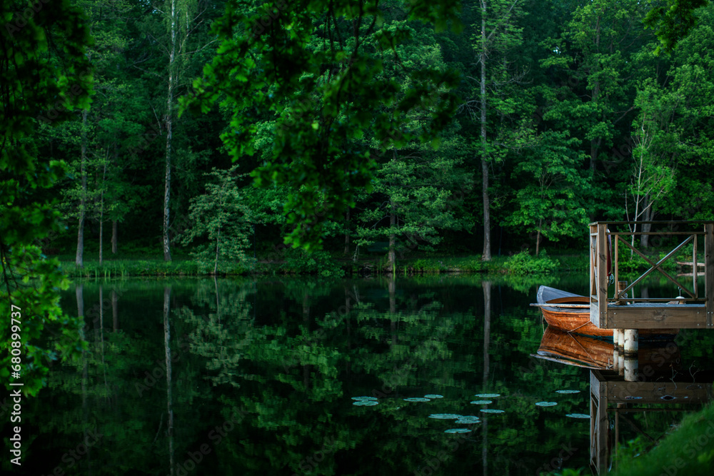 Forest and boat on lake