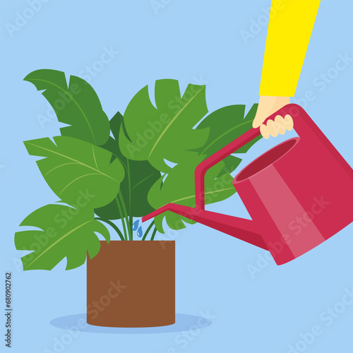 Hand watering a houseplant with a red watering can. Vector illustration.