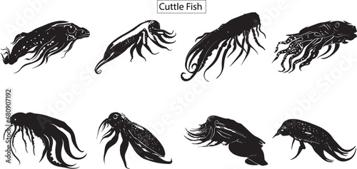 Set  of cuttle fish, cuttle fish silhouette, sea life silhouette