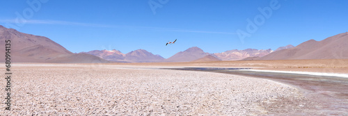 Bolivia, Avaroa National Park. Two flamingos in flight over the desert.