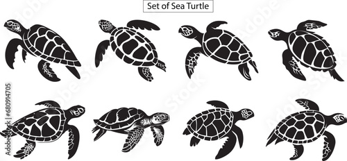 set of sea turtles silhouette, turtle silhouette set photo