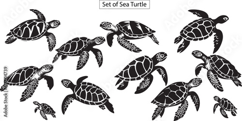Silhouette set of turtle, sea animal silhouette
