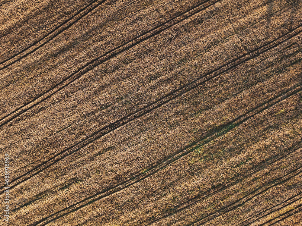 field from above, grain, wheat, background - obrazy, fototapety, plakaty 