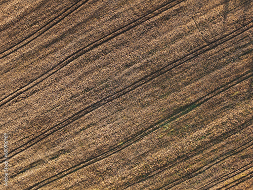 field from above, grain, wheat, background