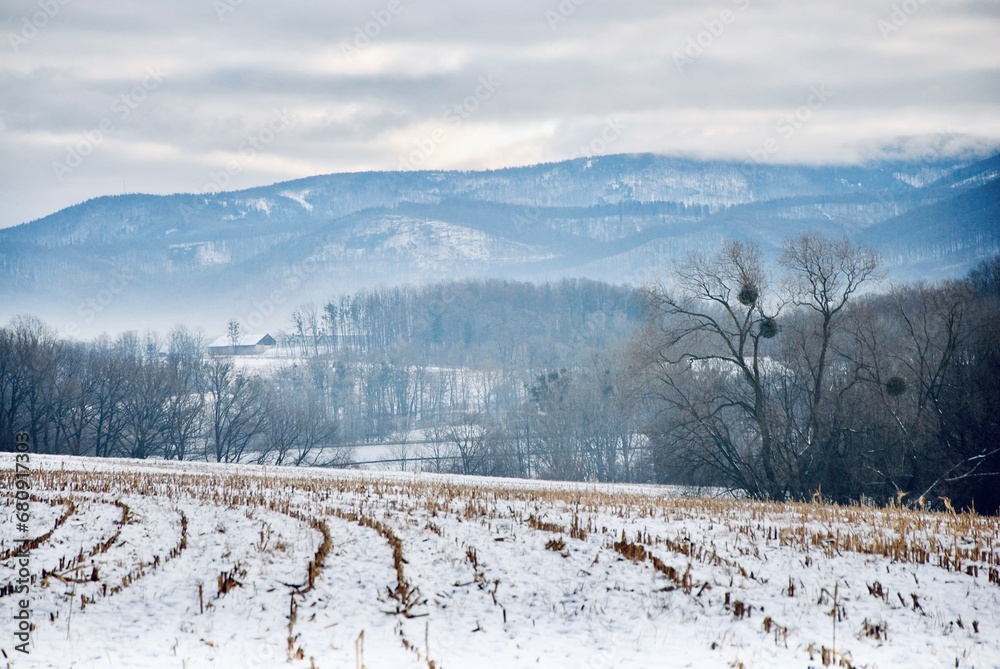 winter landscape, mountains in the background winter landscape, mountains in the background