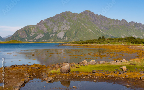 Coastal shore with brown vegetation and green mountains in the background
